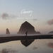 King of Your Heart (Single)