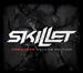 "Say Goodbye (Acoustic)" by Skillet