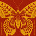 Birds N Butterflies--Single