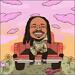 Parabolic (Single)