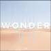 Wonder (Single)