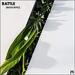Rattle! (Acoustic) (Single)
