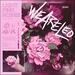 Light Pink Roses (Single)