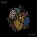 Help You Heal (Silverberg Remix 2020) (Single)