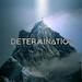 Determination