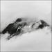 P.O.M. (feat. Libby Barnes) (Single)