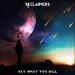 Say What You Will (Single)