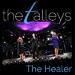 The Healer (Live) (Single)
