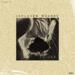 Isolated Wounds (Single)