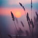 Hymns for Eventide EP