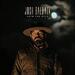 Into the Wild (Radio Version) (Single)