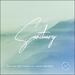 Sanctuary (feat. Simon Wester) EP