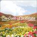 Too Good To Not Believe (Radio Version) (Jenn Johnson) (Single)