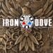 Iron Dove - Act I: The Blessed Coast