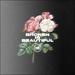 Broken Is Beautiful (Single)