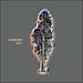 Standing Tall (Single)