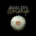 Worship (Deluxe)