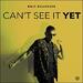 Can't See It Yet (Single)