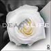 Dead2Life (Single)