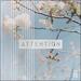 Attention (Single)
