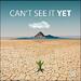 Can't See It Yet (Radio Version) (Single)