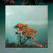 Rest in Me (Single)