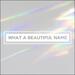 What A Beautiful Name (Single)