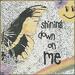 Shining Down On Me (Single)