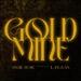 Goldmine (Single)