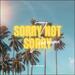 Sorry Not Sorry (Single)