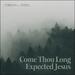 Come Thou Long Expected Jesus (Single)