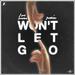 Won't Let Go (Sam Bowman Remix) (Single)