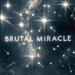 Brutal Miracle (Single)