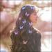 Butterflies (Single)