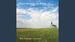 Come Away To The Skies: Hymns, gospel songs and spirituals