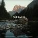 Still Waters (Psalm 23) (Acoustic) (feat. Ben Fuller & David Leonard) (Single)