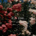 it is you. (Single)