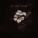 In The Dark (Single)