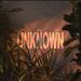 Unknown (Single)