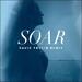 Soar (David Thulin Remix) (Single)