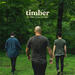 Timber