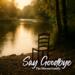 Say Goodbye (Single)