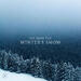 See Amid the Winter's Snow (Single)