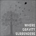 Where Gravity Surrenders