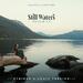 Still Waters (Psalm 23) - Strings and Choir Version (Single)