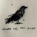 Wake Up, Mr. Crow (Single)