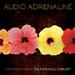 "Goodbye" by Audio Adrenaline