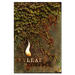 Beneath the Surface (DVD)