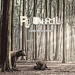 "Prison Side" by Red Umbrella