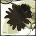 Thalon EP